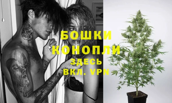 мдпв Россошь