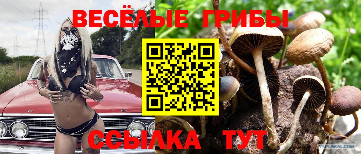 Псилоцибиновые грибы MAGIC MUSHROOMS Гурьевск