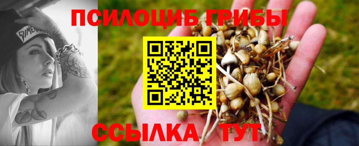 Галлюциногенные грибы мицелий  Вход с VPN  Псилоцибиновые грибы MAGIC MUSHROOMS  Гурьевск 
