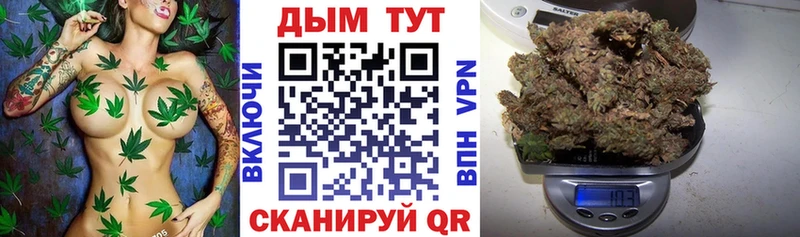hydra ТОР  Гурьевск  Бошки марихуана AK-47  купить закладку 